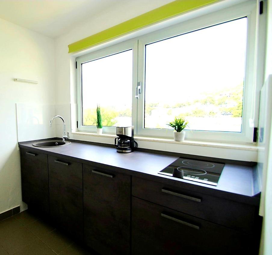 Apartment Petrovic *